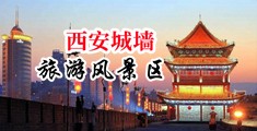无人视频在线观看免费播放影院看女人的B中国陕西-西安城墙旅游风景区